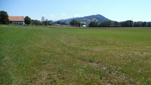 Terrain à Palézieux Piguelevki Iouri  Terrain industriel Terrain industriel , 10294.00 m2  CHF 4'117'600.- 1607 Palézieux