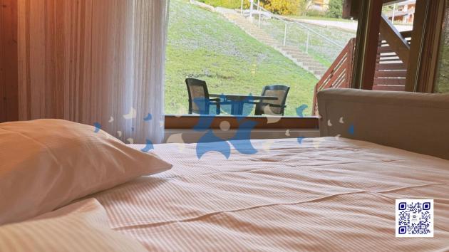 EDE-12646 / (1 - Les Sources 4108) Studios 28.5 (4008 - 4108 Les Sources) - (3102 - 3205 Thermalies) - (2203 Eaux-Vives) ) / Ovronnaz / JDD Immobilier SA Furnished flat Furnished flat, 1.5 Rooms, 34.25 m2  from CHF 195'000.- 1911 Ovronnaz