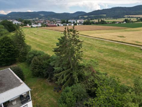 Courgenay, Jura - Commerce 10.0 pièces 320.00 m2 CHF 695'000.-