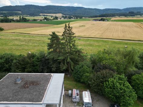 Courgenay, Jura - Commerce 10.0 pièces 320.00 m2 CHF 695'000.-