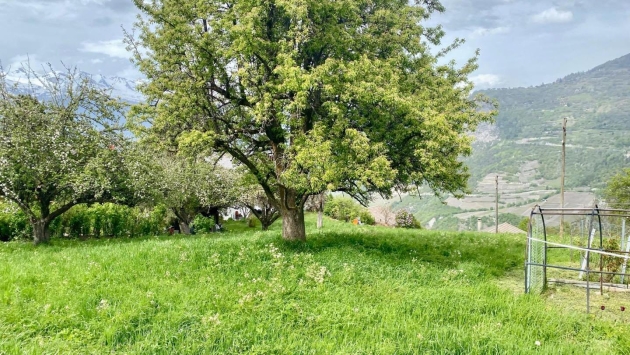 Terrain Vex - Les Prasses Building land Building land , 778.00 m2  CHF 226'000.- 1981 Vex