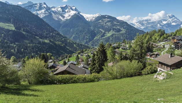 Pousaz - Terrain Gryon Building land Building land , 1074.00 m2  CHF 590'000.- 1882 Gryon