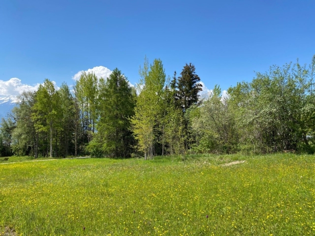 Arbaz, Valais - Building land  1221.00 m2 CHF 500'000.-