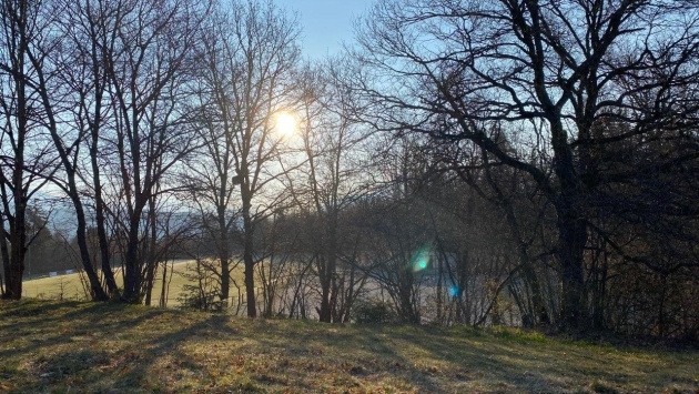 Terrain à batir Terrain équipé Terrain équipé , 1419.00 m2  CHF 225'000.- 1974 Arbaz