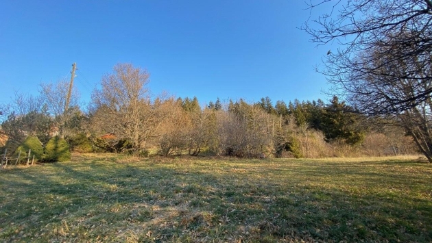 Terrain à batir Terrain équipé Terrain équipé , 1419.00 m2  CHF 248'300.- 1974 Arbaz