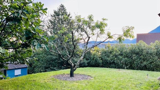 Saxon, Valais - Villa mitoyenne 7.5 pièces 725.00 m2 CHF 790'000.-