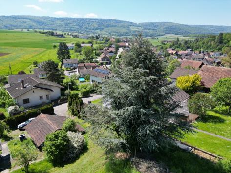 Fontenais, Jura - Terrain à bâtir  1590.00 m2 CHF 370'000.-