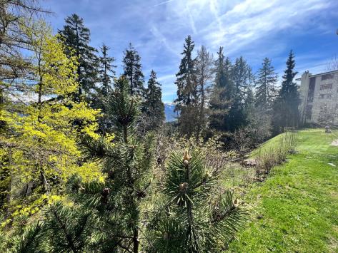 Crans-Montana, Valais - Appartement meublé 2.5 pièces 60.00 m2 CHF 1'550.- / mois
