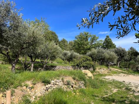 Callas, Provence-Alpes-Côte d'Azur - Maison villageoise  70.00 m2 EUR 420'000.-