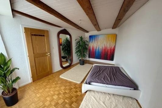 Porrentruy, Jura - Rental and commercial building 7.0 Rooms 320.00 m2 CHF 1'220'000.-