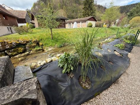 Soyhières, Jura - Immeuble locatif 6.0 pièces 143.00 m2 CHF 1'680'000.-