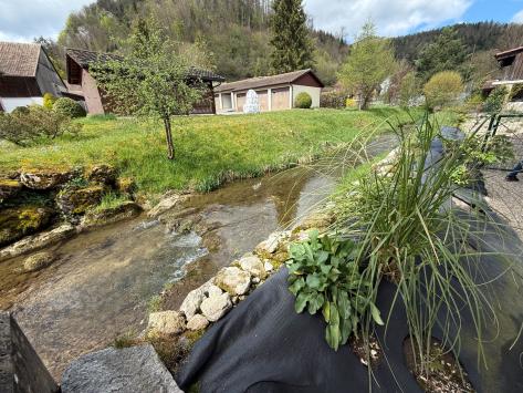 Soyhières, Giura - Appartamento arredato 3.5 Stanze 70.00 m2 CHF 1'260.- / mese
