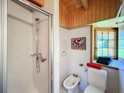 Crans-Montana, Valais - Chalet 5.5 Rooms 185.00 m2  from CHF 8'000.-