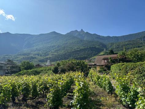 Saxon, Valais - Appartement  62.50 m2  dès CHF 330'000.-