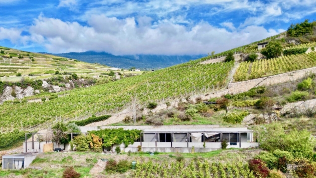 Villa De Werra Villa Villa, 7.0 pièces, 240.00 m2  CHF 2'100'000.- 1950 Sion