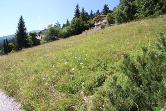 Crans-Montana, Valais - Terrain à bâtir  906.00 m2 CHF 350.- / m2