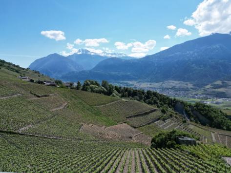 Flanthey, Valais - Villa clés-en-main 5.5 pièces 180.00 m2 CHF 1'380'000.-