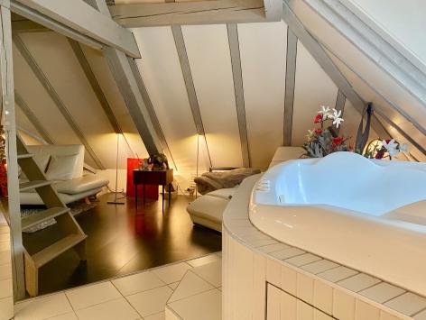 Sion, Valais - Villa 8.5 pièces 711.67 m2 Prix sur demande