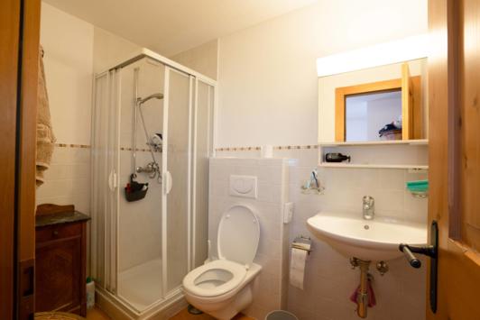 Montagnier, Valais - Appartement 5.5 pièces 260.00 m2 CHF 2'500'000.-