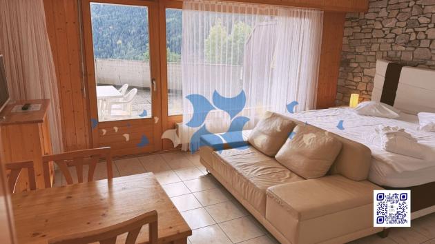 EDE-12664 / (2 - Les Sources SUD RESERVE  4004) Studios 33.75 (4001 - 4003 - 4102  Les Sources) - (3203 Thermalies) - (2004 Eaux-Vives) ) / Ovronnaz / JDD Immobilier SA Appartement meublé Appartement meublé, 1.5 pièces, 44.30 m2  CHF 1'050.- / semaine 1911 Ovronnaz