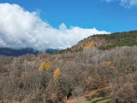 Savièse, Valais - Maison 7.5 pièces 200.00 m2 CHF 995'000.-