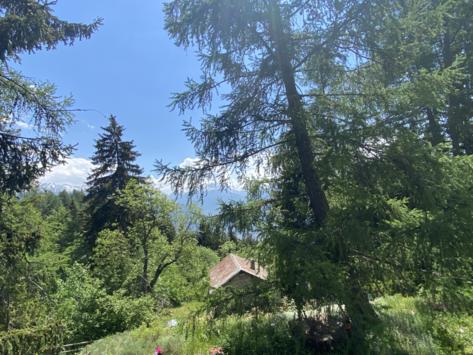 Anzère, Valais - Chalet 7.0 pièces 235.00 m2 CHF 980'000.-