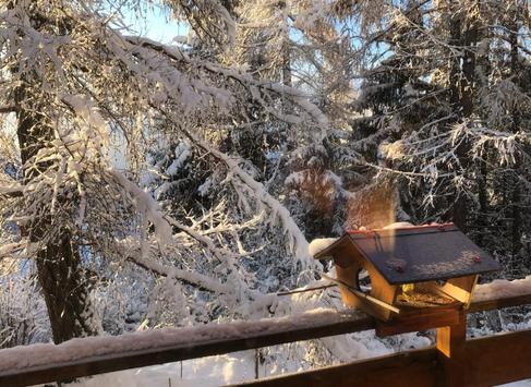 Anzère, Valais - Chalet 7.0 pièces 235.00 m2 CHF 980'000.-