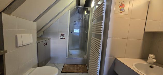 Sion, Valais - Villa 8.5 pièces 711.67 m2 CHF 3'800'000.-