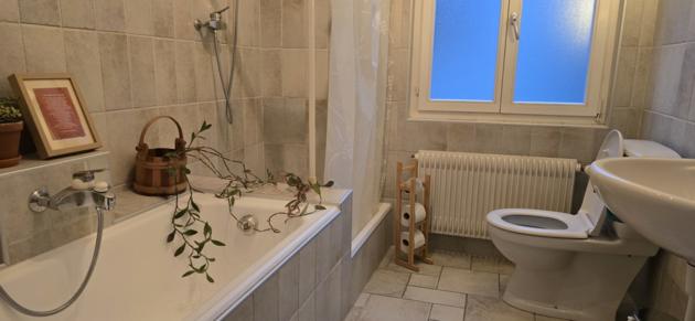 Sion, Valais - Villa 8.5 pièces 711.67 m2 CHF 3'800'000.-