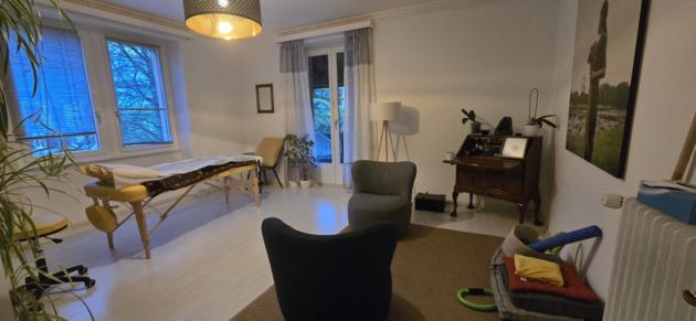Sion, Valais - Villa 8.5 pièces 711.67 m2 CHF 3'800'000.-
