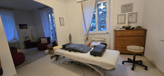 Sion, Valais - Villa 8.5 pièces 711.67 m2 CHF 3'800'000.-