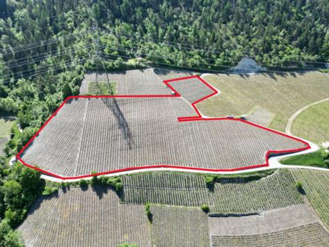 Chalais, Valais - Terrain agricole  12794.00 m2 CHF 134'400.-