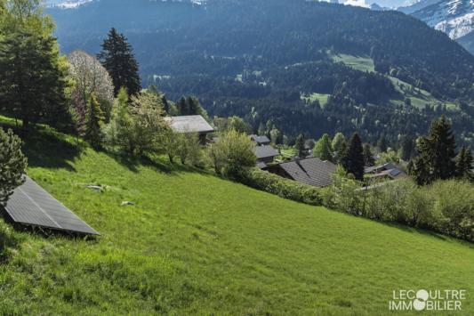Gryon, Vaud - Terrain à bâtir  1074.00 m2 CHF 590'000.-