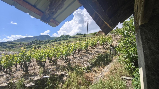 Granges La Millière Rustico Rustico, 2.0 pièces, 179.00 m2  CHF 210'000.- 3977 Sierre