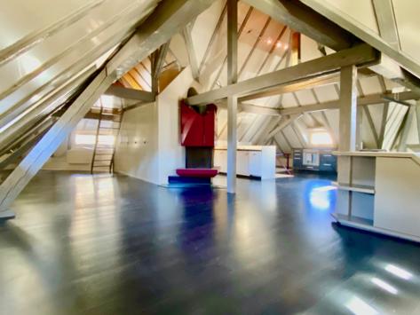 Sion, Valais - Villa 8.5 pièces 711.67 m2 CHF 3'800'000.-