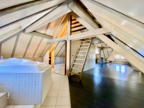Sion, Valais - Villa 8.5 pièces 711.67 m2 CHF 3'800'000.-