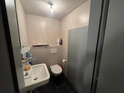 Grimisuat, Valais - Attique 5.5 pièces 231.42 m2 CHF 1'550'000.-