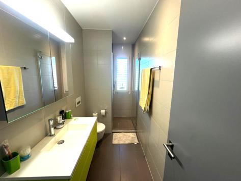 Grimisuat, Valais - Attique 5.5 pièces 231.42 m2 CHF 1'550'000.-