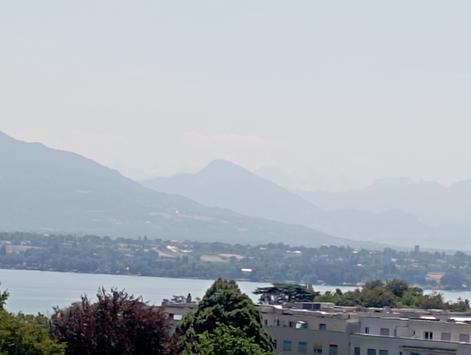 Versoix, Genève - Appartement 3.0 pièces 60.00 m2 CHF 2'400.- / mois