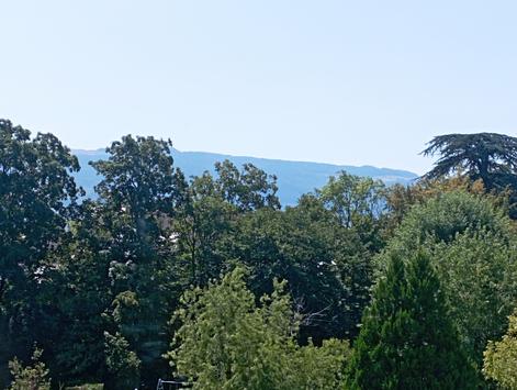 Bernex, Genève - Appartement 3.0 pièces 66.00 m2 CHF 1'700.- / mois