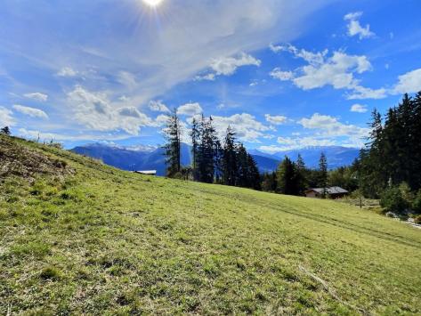 Crans-Montana, Valais - Terrain à bâtir  3618.00 m2 CHF 8'000'000.-