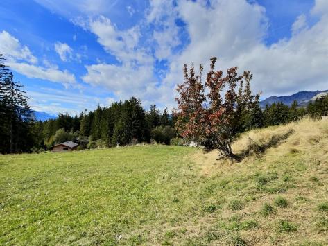 Crans-Montana, Valais - Terrain à bâtir  3618.00 m2 CHF 8'000'000.-