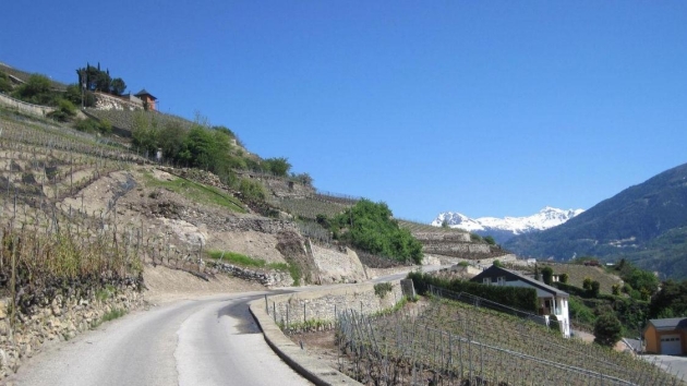 EDE-9500/EDE-9496 / 4A / Annonce fictive Les Terrasses de Bramois Appartement terrasse Appartement terrasse, 3.5 pièces, 129.50 m2  dès CHF 840'000.- 1967 Bramois