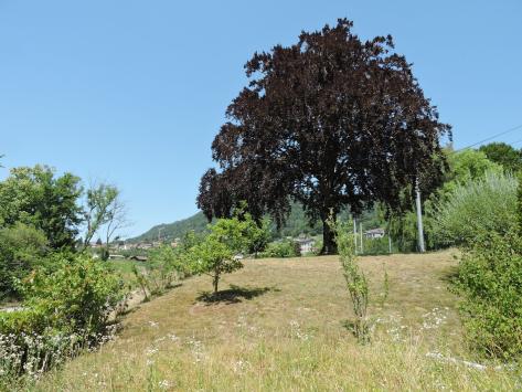 Montreux, Vaud - Rez-jardin 4.5 pièces 189.67 m2 CHF 1'430'000.-