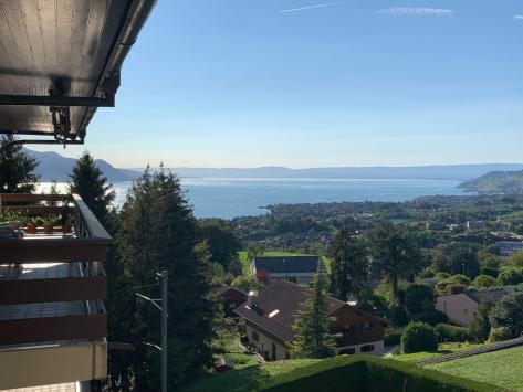 Chernex, Vaud - Appartement 6.5 pièces 270.00 m2 CHF 1'650'000.-